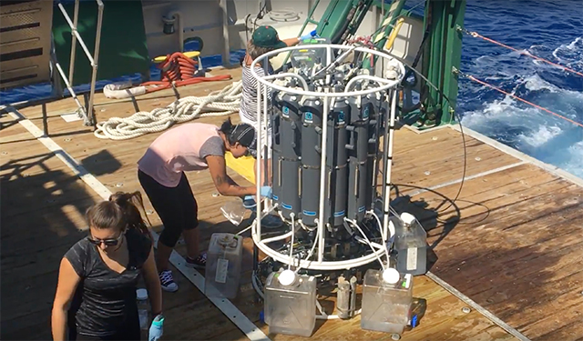 Collecting water samples into containers from the CTD rosette, aboard the FG Walton Smith