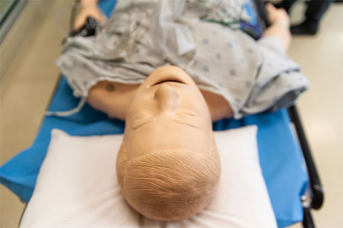 Mannequin used for simulation training at the medical campus.