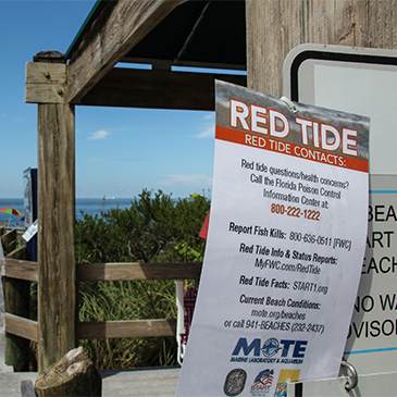Red Tide warning sign at Bonita Beach, Florida