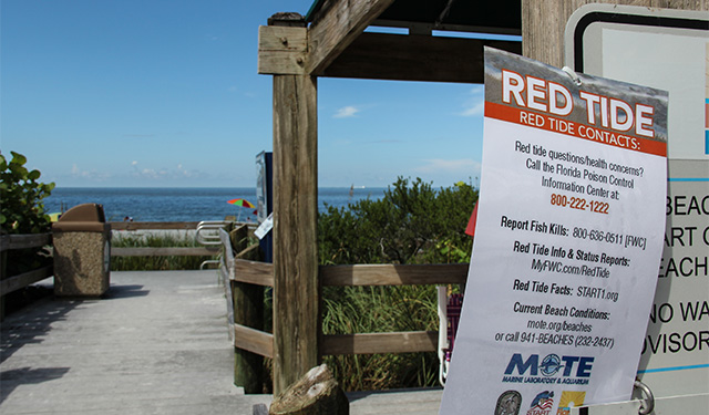 Red Tide warning sign at Bonita Beach, Florida