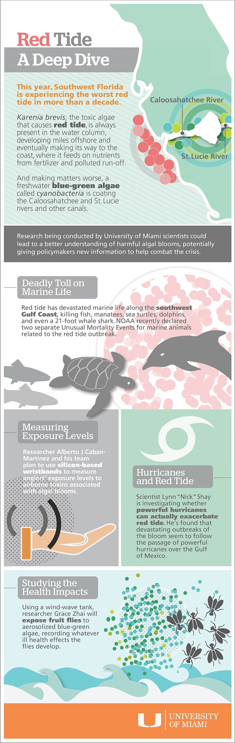 Red Tide Infographic
